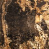 Fornir kamienny Autumn Rustic 122x61x0,2 cm Przezroczysty