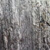 Fornir kamienny Ocean Black 122x61x0,2 cm