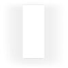 WPC Płyta Węglowa White 280x110