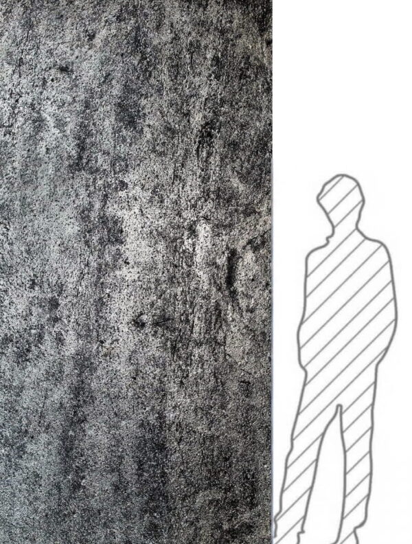 Fornir kamienny Silver Grey 244x122x0,2 cm Przezroczysty