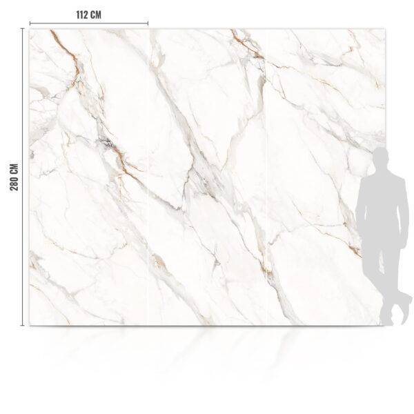8632 SPC Płyta Węglowa Gold Vein Polerowana 280x112