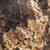 Fornir kamienny Autumn Rustic 122x280x0,2 cm Przezroczysty